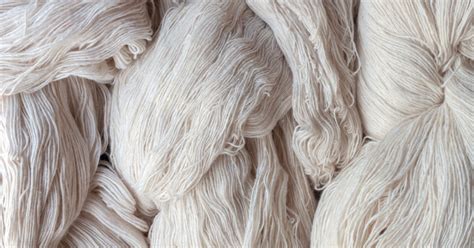  Viscose: Khám Phá Sợi Tự Nhiên Từ Gỗ!